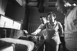 南口战役电影在线观看,血战长城，英雄不朽  第1张