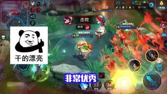 王者小宝茶最新爆料,神秘配方大揭秘，健康养生新潮流