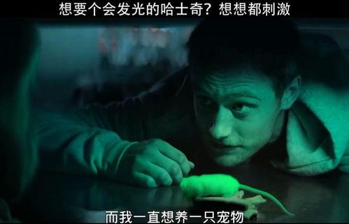 夜感视频在线观看,探索在线观看夜感视频的独特魅力 第2张 夜感视频在线观看,探索在线观看夜感视频的独特魅力 第2张