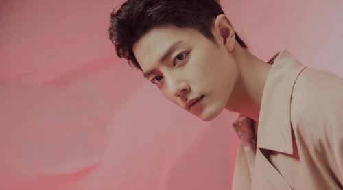 肖战最新综艺爆料事件,揭秘幕后真相与网络舆论影响  第2张