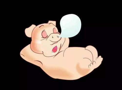 小胖猪是谁爆料的视频,揭秘视频背后的惊人真相  第2张